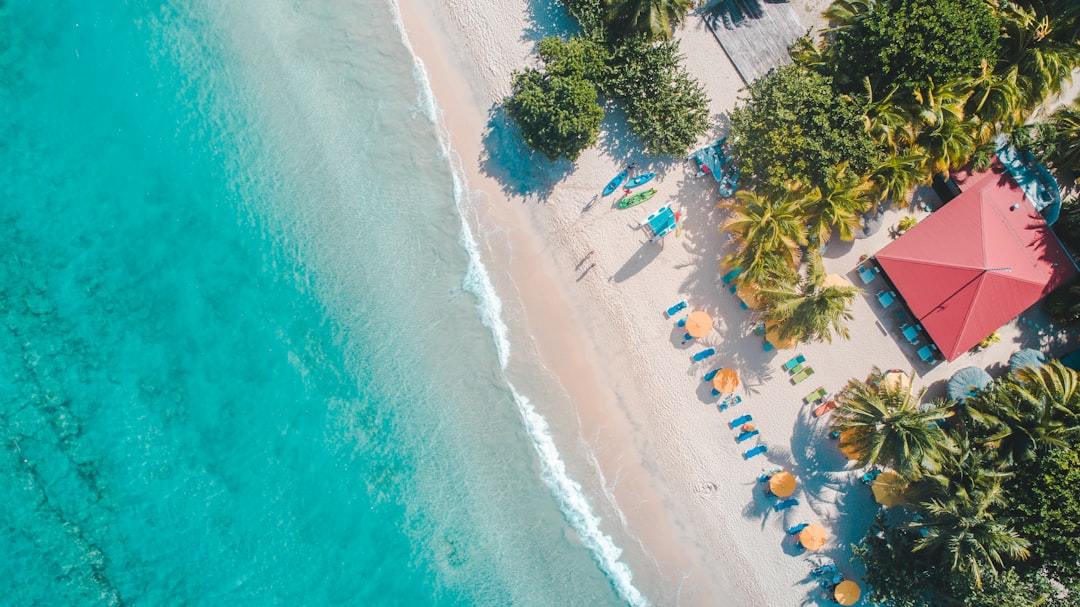 The Art of Vacation Rental Management: Maximizing Your Property’s Potential